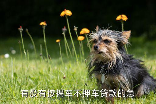 车子抵押贷款不押车(抵押贷款的车)? (https://www.962900.com/) 知识问答 第1张
