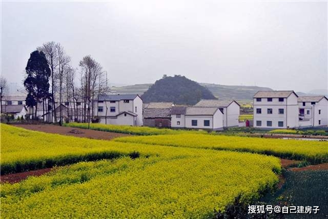 奉贤汽车抵押贷款(抵押贷款汽车)? (https://www.962900.com/) 知识问答 第2张