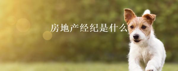 民间贷款公司(民间借贷的公司)? (https://www.962900.com/) 知识问答 第22张