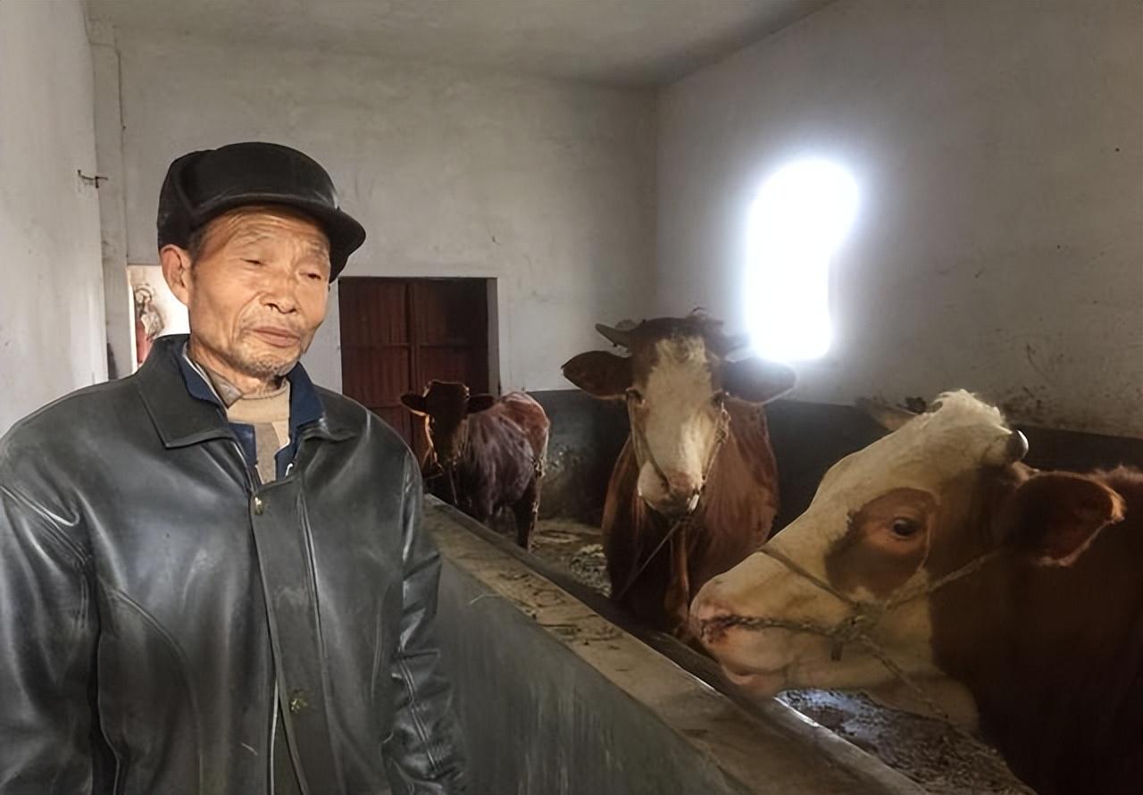 普通人怎么贷款5万(如何贷款20万普通人)? (https://www.962900.com/) 知识问答 第2张