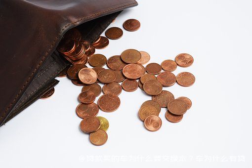 拿车的绿本怎么贷款(贷款车绿本拿到手了该怎么办)? (https://www.962900.com/) 知识问答 第1张