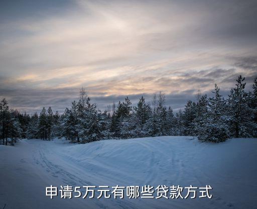 怎么能贷款5万(能贷款的平台有哪些)? (https://www.962900.com/) 知识问答 第1张