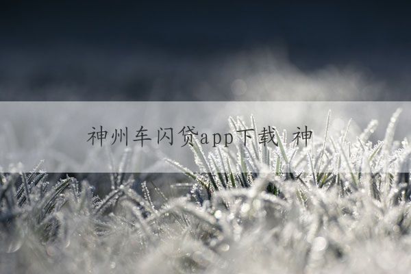 神州车闪贷app(神州闪贷抵押车安全吗)? (https://www.962900.com/) 知识问答 第1张