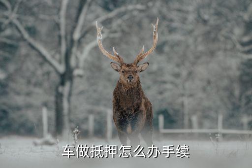 办理车辆抵押贷款需要什么资料(抵押贷款车辆办理资料需要哪些)？ (https://www.962900.com/) 知识问答 第1张