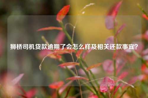 狮桥车抵贷(狮桥车抵贷利率是多少)？ (https://www.962900.com/) 知识问答 第1张