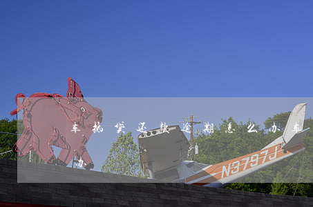 车抵贷是怎么还款的(车抵贷正常还款会有风险吗)？ (https://www.962900.com/) 知识问答 第2张