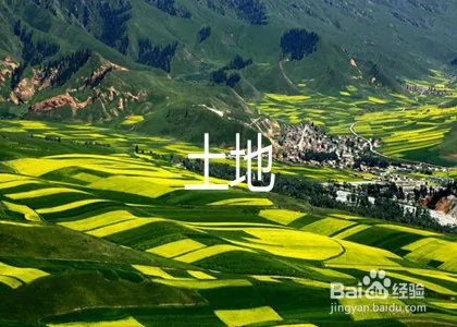 车子抵押贷款怎么贷去哪个银行(抵押车子贷贷款银行去哪里办理)？ (https://www.962900.com/) 知识问答 第4张