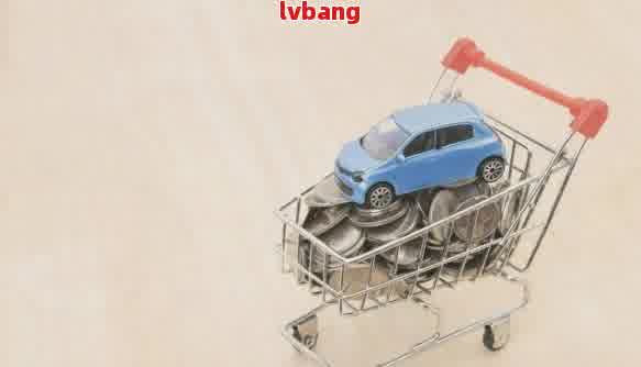 有车辆抵押贷款(抵押贷款车辆有什么影响)？ (https://www.962900.com/) 知识问答 第1张