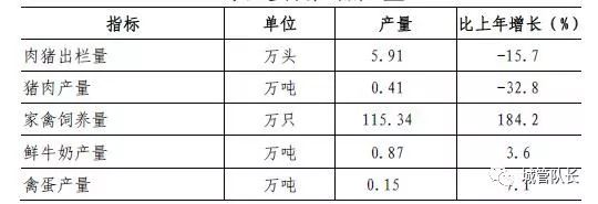 上海私家车抵押(上海抵押车私人抵押)？ (https://www.962900.com/) 知识问答 第2张