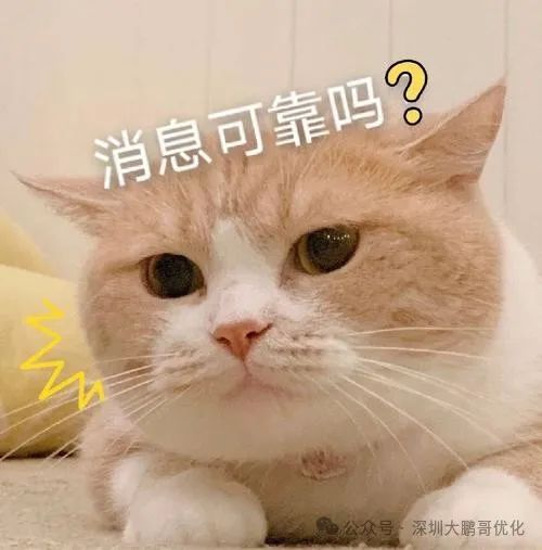 车辆抵押贷款必须要绿本吗(抵押车子绿本也要看征信吗)？ (https://www.962900.com/) 知识问答 第2张