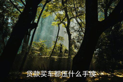按揭需要抵押机动车登记证吗(按揭车要抵押登记证书)？ (https://www.962900.com/) 知识问答 第3张