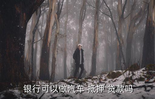 车抵押贷额度(抵押车贷款金额)？ (https://www.962900.com/) 知识问答 第3张