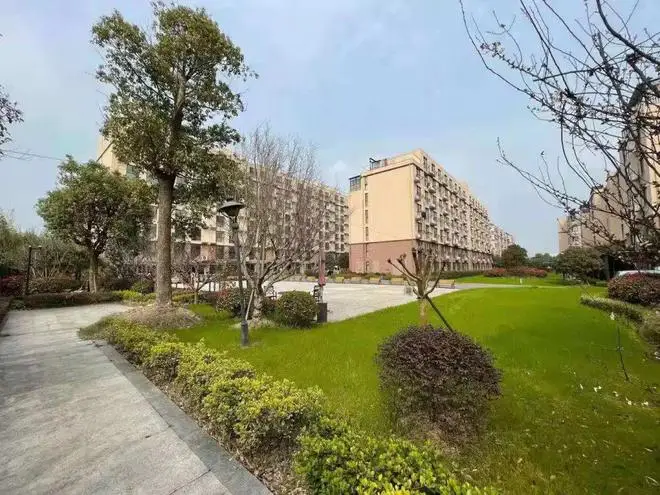 上海金山车抵贷(上海金山押车贷款)？ (https://www.962900.com/) 知识问答 第17张