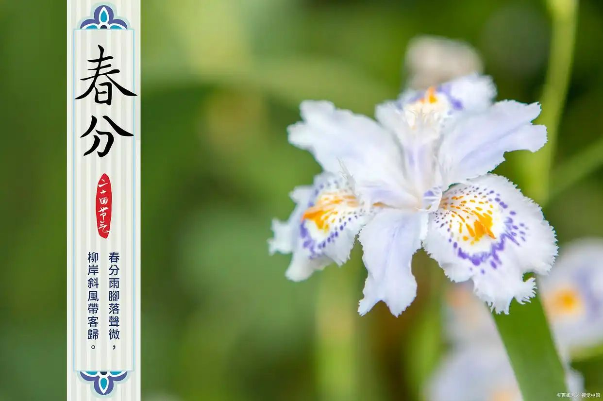 苏州哪有车辆抵押贷款的(抵押苏州贷款车辆有什么风险)？ (https://www.962900.com/) 知识问答 第1张