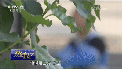 车辆抵押贷款套路(抵押车套路贷怎么报案)？ (https://www.962900.com/) 知识问答 第4张