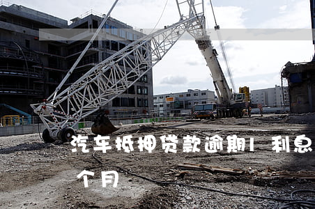 车抵押贷款的利息(抵押车子贷款利息)？ (https://www.962900.com/) 知识问答 第2张
