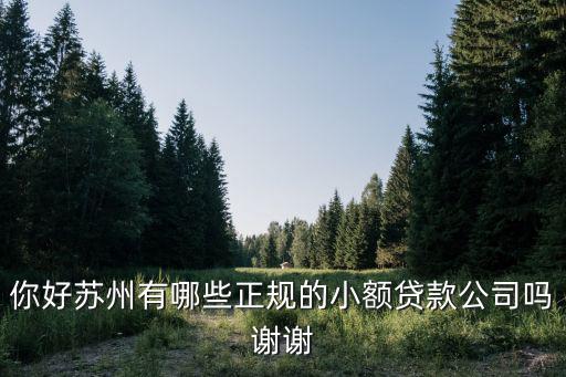 苏州无抵押信用贷款(苏州正规贷款企业)？ (https://www.962900.com/) 知识问答 第1张