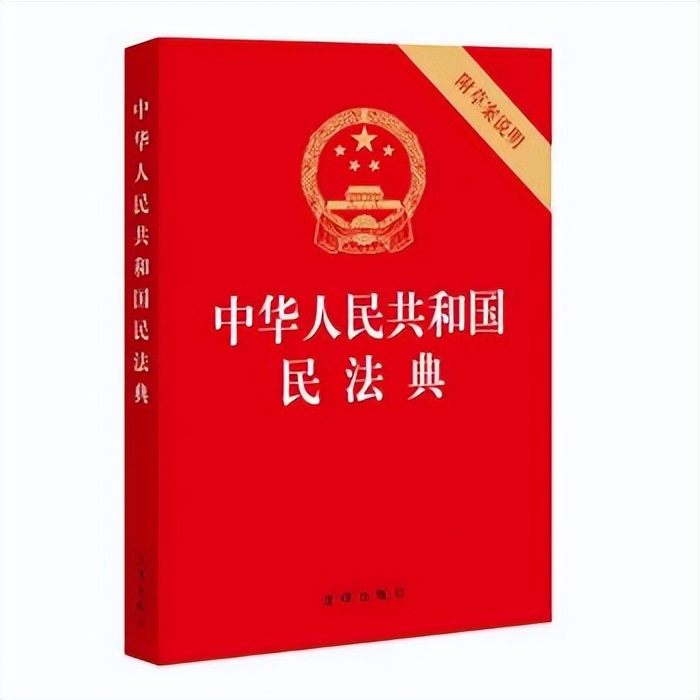 上海车牌抵押借款(沪牌额度租赁法律风险)？ (https://www.962900.com/) 知识问答 第4张